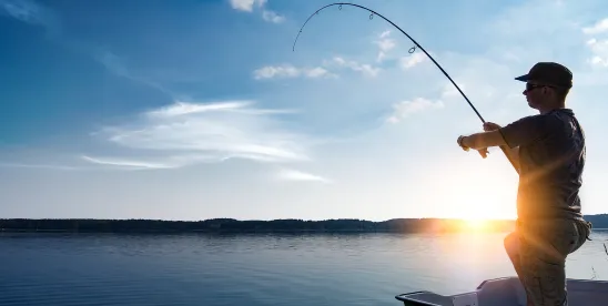 U.S. Fish and Wildlife Service and the National Marine Fisheries Service Harm Definition