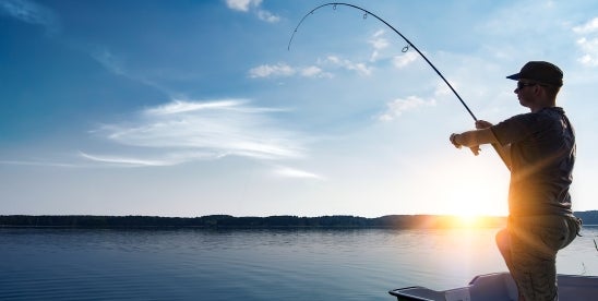 U.S. Fish and Wildlife Service and the National Marine Fisheries Service Harm Definition