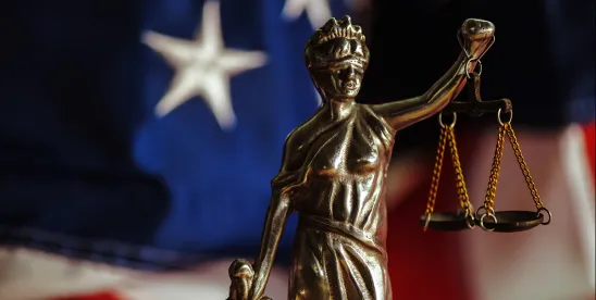 Federal Circuit clarifies IPR litigation strategy