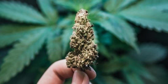 NC Comprehensive Hemp Regulation