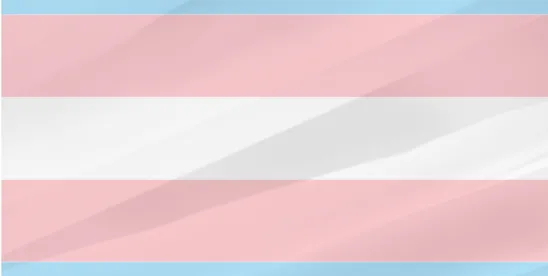 Liberty University faces Title VII transgender lawsuit ruling