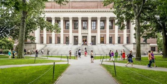 Harvard in the Summer