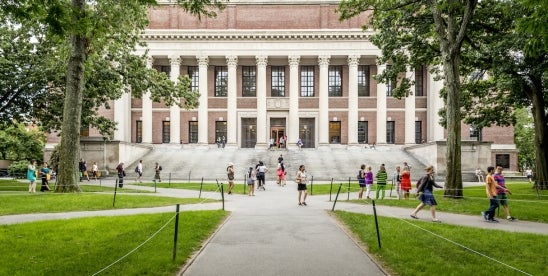 Harvard in the Summer