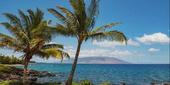 Bid Protests in Hawaii