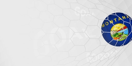 Montana Privacy Law Amendment