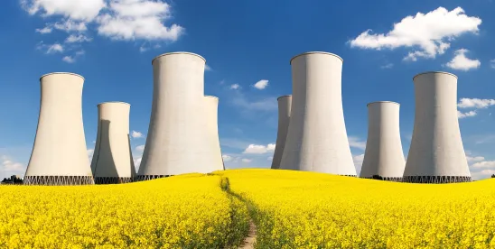 Teas Nuclear Energy Bills