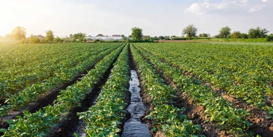 Long-Term Care Agricultural Assets