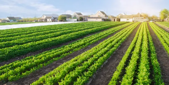 FY26 bill curbs sodium, Listeria rules and redefines hemp scope