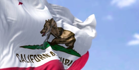 CA SB 690 clears Senate, aims to protect standard web tools