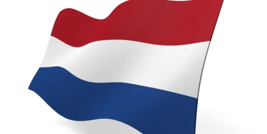 Netherlands How To know If You Are A Self Employed Individual
