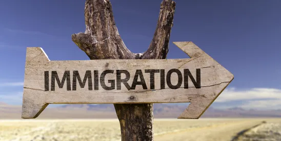 President Trump Immigration Impacts
