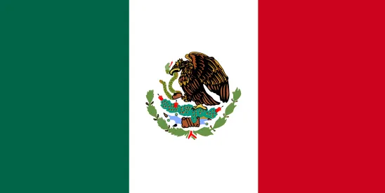 Mexican Labor Inspection Guidelines