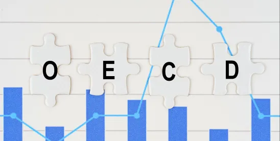 OECD MXenes identifies safety, sustainability, and regulatory gaps 