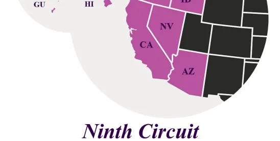 9th Circuit Upholds Converse’s Win in CIPA Chat Case