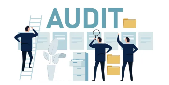 Workplace Generative AI Audit