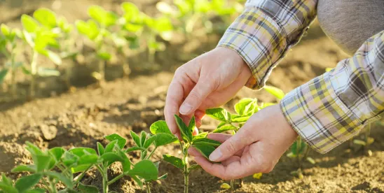 USDA Farm Security Plan—foreign land limits and SNAP fraud