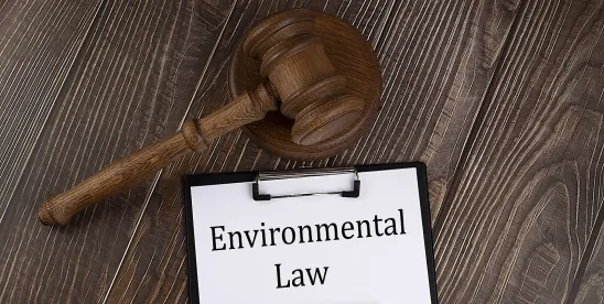 Hanousek case highlights criminal liability for enviro negligence