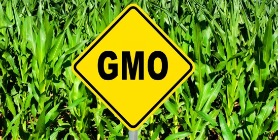 NEPA review for modified organisms not deemed plant pests ends