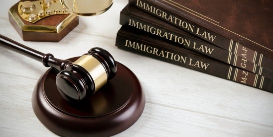 2025 EB-2 NIW guide—eligibility, I-140 petition, and green card 