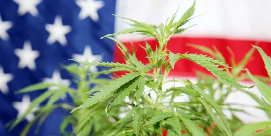 DEA rescheduling stalls Rescheduling Process