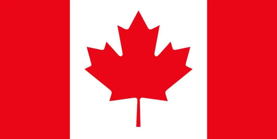 Canadian Human Rights Tribunal curbs systemic scope in Richards