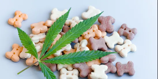 Alabama bans CBD pet products