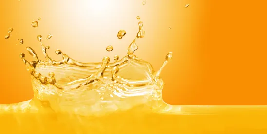 KIST mark likely to confuse with SUNKIST