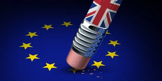 European Union and UK Environment and Health Law Updates