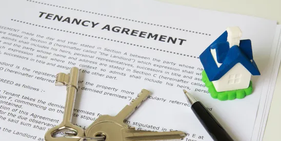 Leases Must Comprehensively Address Land Contamination