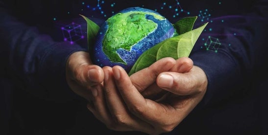 OECD: PFAS alternatives face hurdles in lubricants