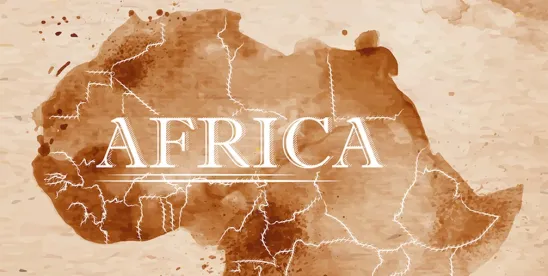 U.S. cuts visa validity for Cameroon, Ethiopia, Ghana, Nigeria
