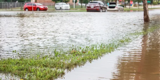 DOL funds $1M in disaster-relief jobs for 26 storm-affected Missouri 