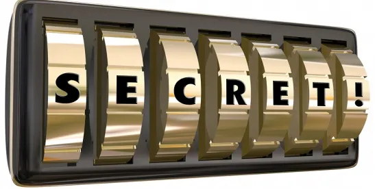 Court upholds trade secrets in skiff boat case