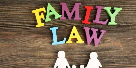 Insights on Program-Related Investments for Family Law