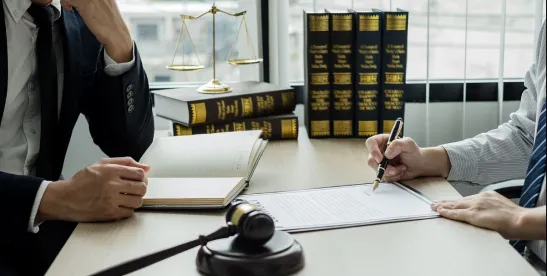Rubicon’s label defeats Metacel’s inducement claim
