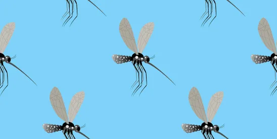 Environmental Protection Agency EPA Mosquito White Pages