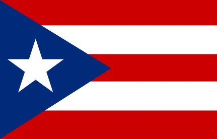 Puerto Rico’s Single Registry of Bidders