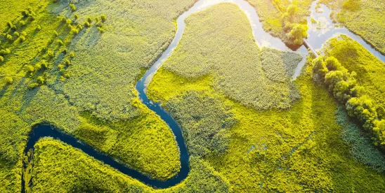 Florida’s SB 492 and the Future of Wetland Development