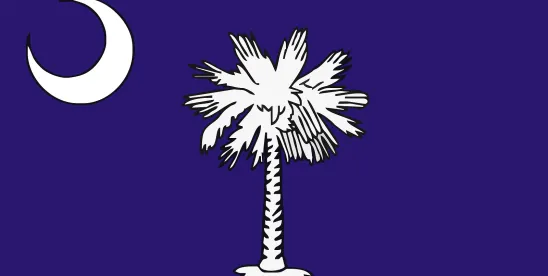South Carolina Court Dismisses City’s Climate Litigation Against Energy Companies