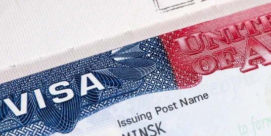 Visa Travel Immigration B-1 visa ESTA authorizations