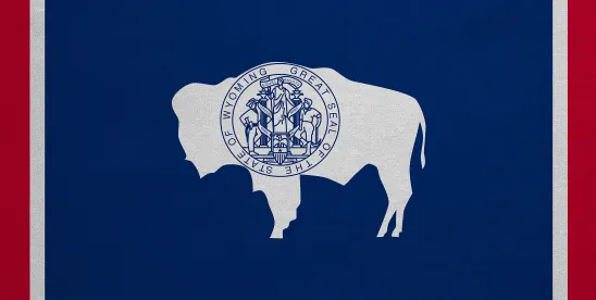 Wyoming State-Issued Stable Token
