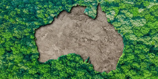 ACSI AICD Climate-Related Transition Plan Guidance