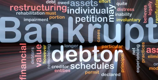 Multi-state bankruptcy filings reflect regional financial pressures