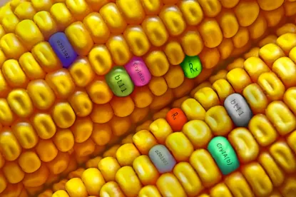 USDA looks for update on petition to deregulate corn developed using genetic engineering