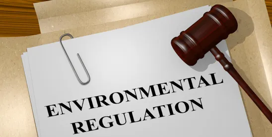 EPA must revisit outdated ELGs after Ninth Circuit ruling