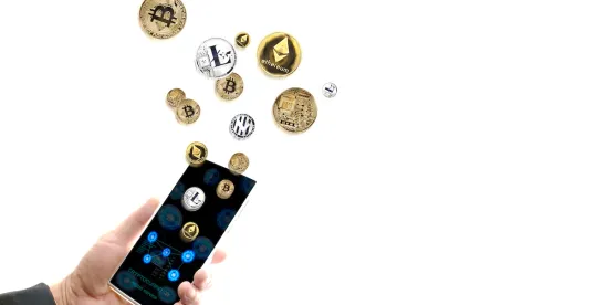 Crypto Federal DOJ SEC Guidance
