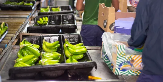 Extended Producer Responsibility in Food Packaging 