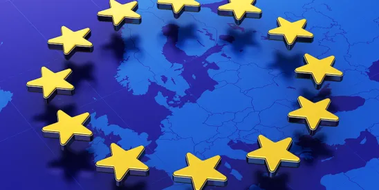 European Union Packaging and Packaging Waste Regulation E-Commerce