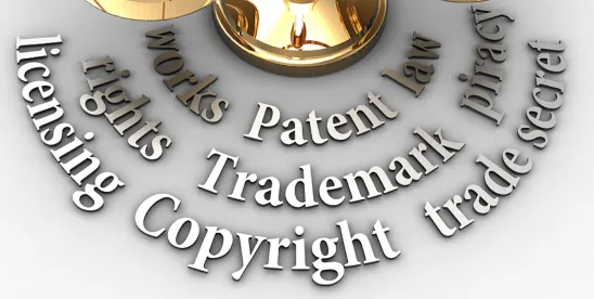 PTO Clarifies Requirments for Specific IPR Petitions