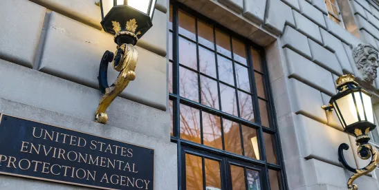 EPA CEA Section 21